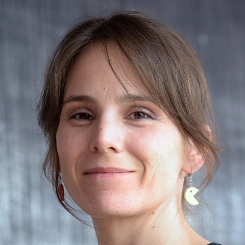 Ana-Lucia Varbanescu, University of Twente, NL Ana-Lucia Varbanescu, University of Twente, NL